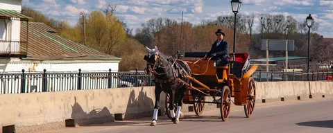 "Ямской двор" в Суздале: Где история оживает под копытами коней